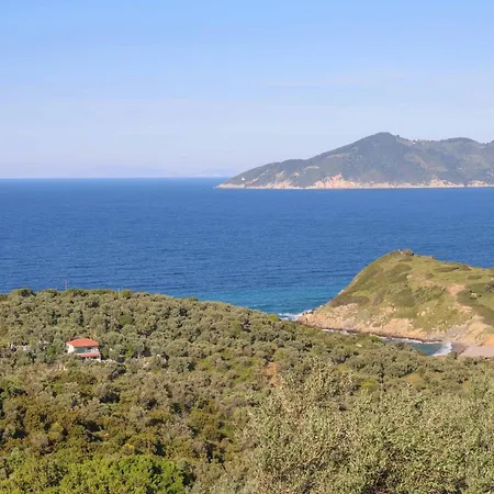 Διαμέρισμα Casa Rozana - Σκιάθος Πόλη