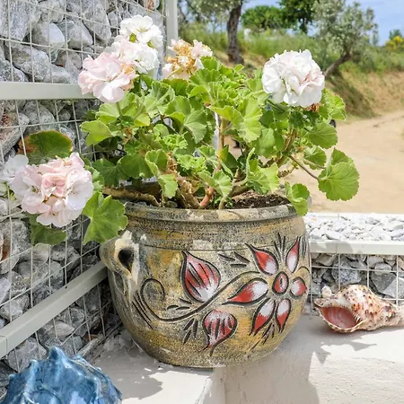شقة Casa Rozana - مدينة سكياثوس